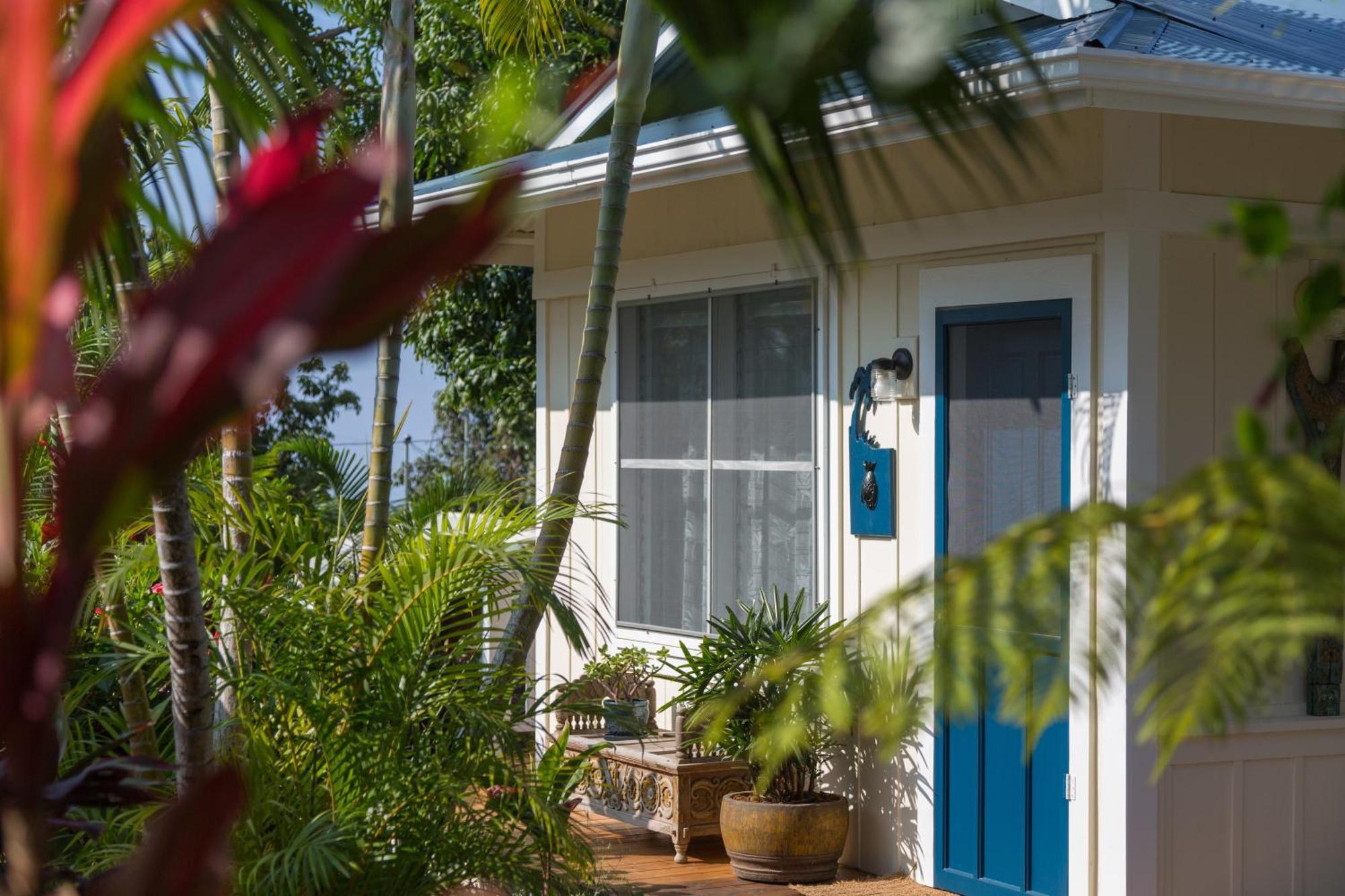 Holualoa Inn Phòng bức ảnh