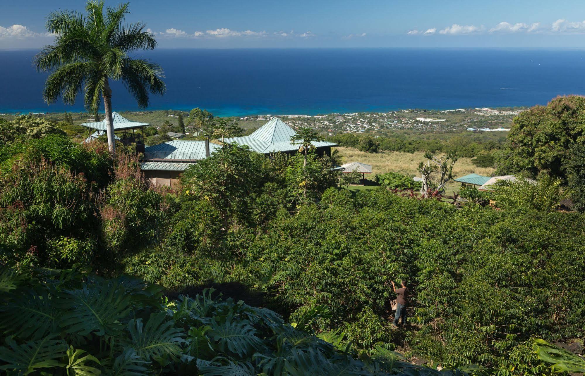 Holualoa Inn Ngoại thất bức ảnh